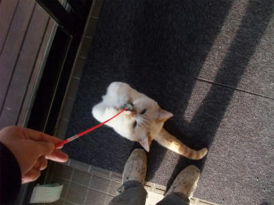 2010_11010010.jpg