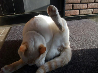 2010_11040008.jpg