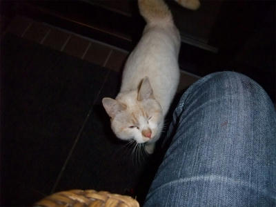 2010_12080002.jpg