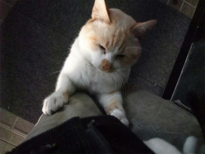 2011_01190033.jpg