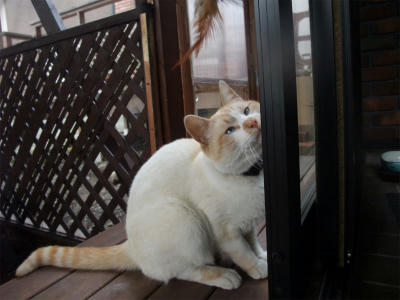 2011_04270008.jpg