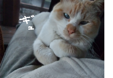 fimg_1305030114.png