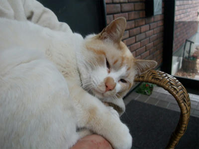 2011_05150006.jpg