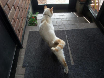 2011_05150002.jpg