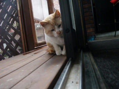 2011_05150015.jpg