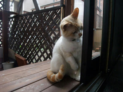 2011_05150016.jpg
