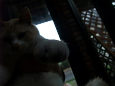2011_06180007.jpg
