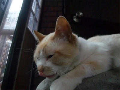2011_06250004.jpg
