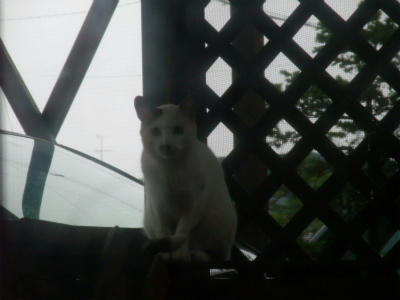 2011_07170011.jpg