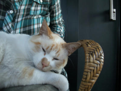 2011_07200002.jpg