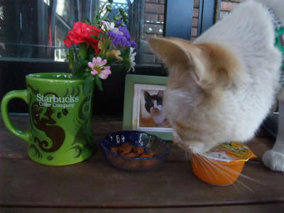 2011_08170006.jpg