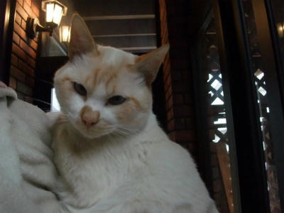 2011_10020001.jpg