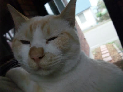2011_10020002.jpg