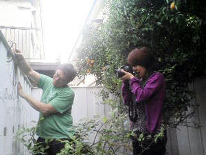 20080521154945.jpg