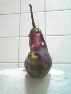 20080801202211.jpg