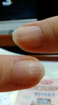 20071107.jpg