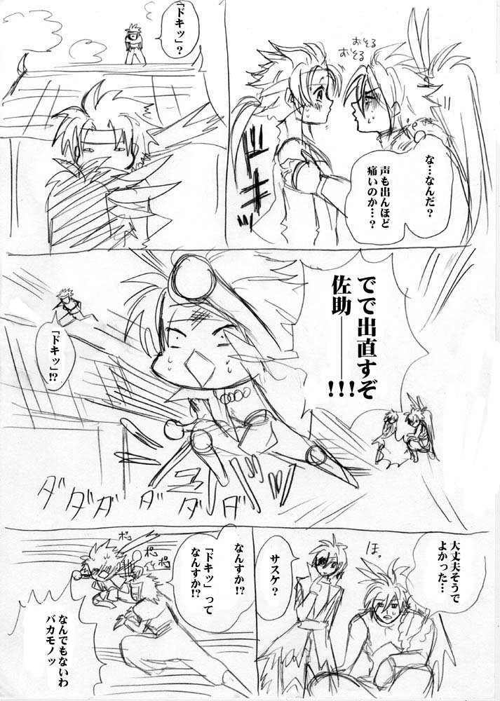 sumomo12.jpg