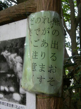 d4437a93.jpg