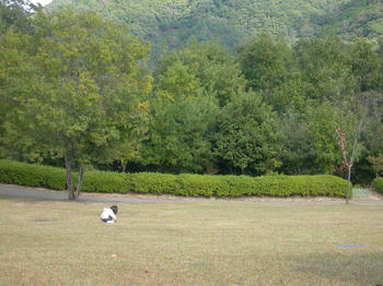 公園にて