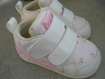 a0dceebb.jpg