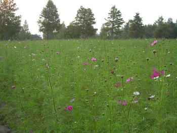 4d1f5978.jpg