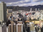 mini_110116_14070001.jpg