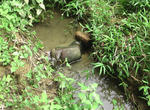 f74be080.jpg