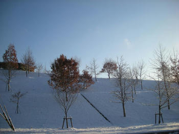 雪２
