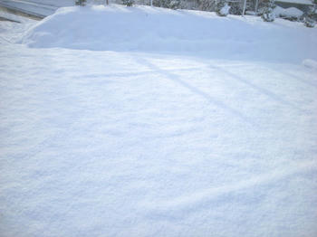 雪１