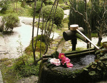 宝泉院
