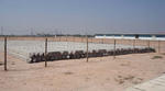 DSC00663_b.jpg