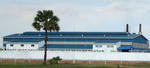 DSC00261_b.jpg