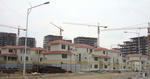 DSC01529_b.jpg