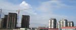 DSC01463_b.jpg