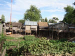 DSC01579_b.jpg