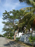 DSC02204_b.jpg