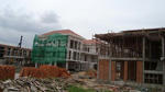 DSC02481_b.jpg