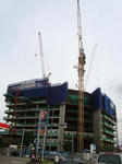 DSC02491_b.jpg