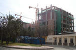 DSC02508_b.jpg