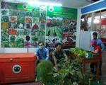 DSC02591_b.jpg