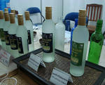 DSC02598_b.jpg