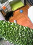 my0808_2.jpg