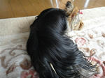 20100530.jpg