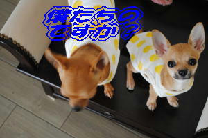 b93fd5ab.jpg