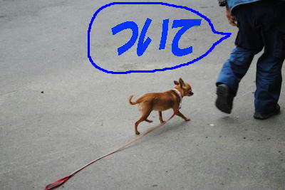 DSC_0117.jpg