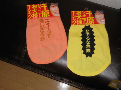 DSCN0041.JPG