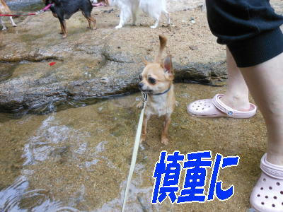 DSCN0218.JPG
