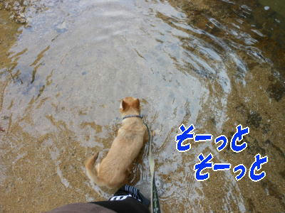 DSCN0213.JPG