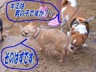 DSCN0232.JPG