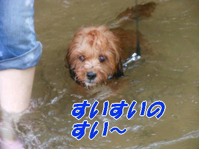 DSCN0221.JPG